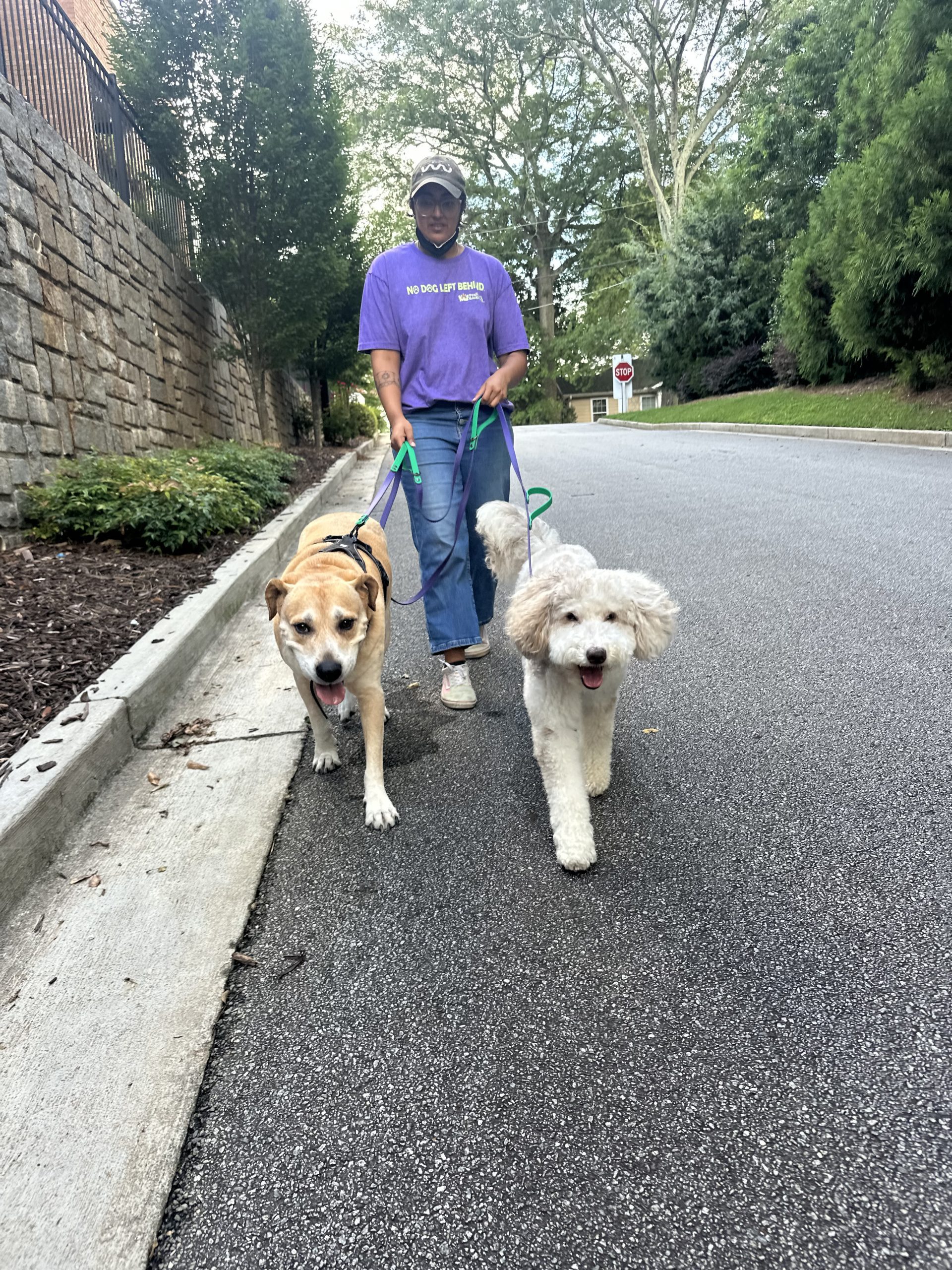 Dog walker giving enrichment and care