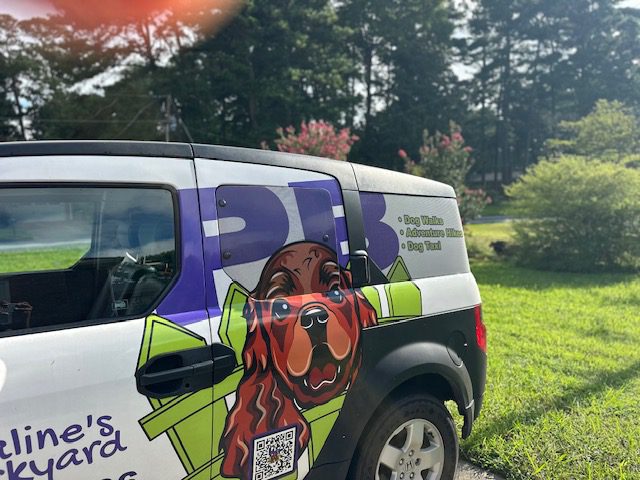 Atlanta Dog Taxi: Stress-Free Vet Visits When You Can’t Leave Work