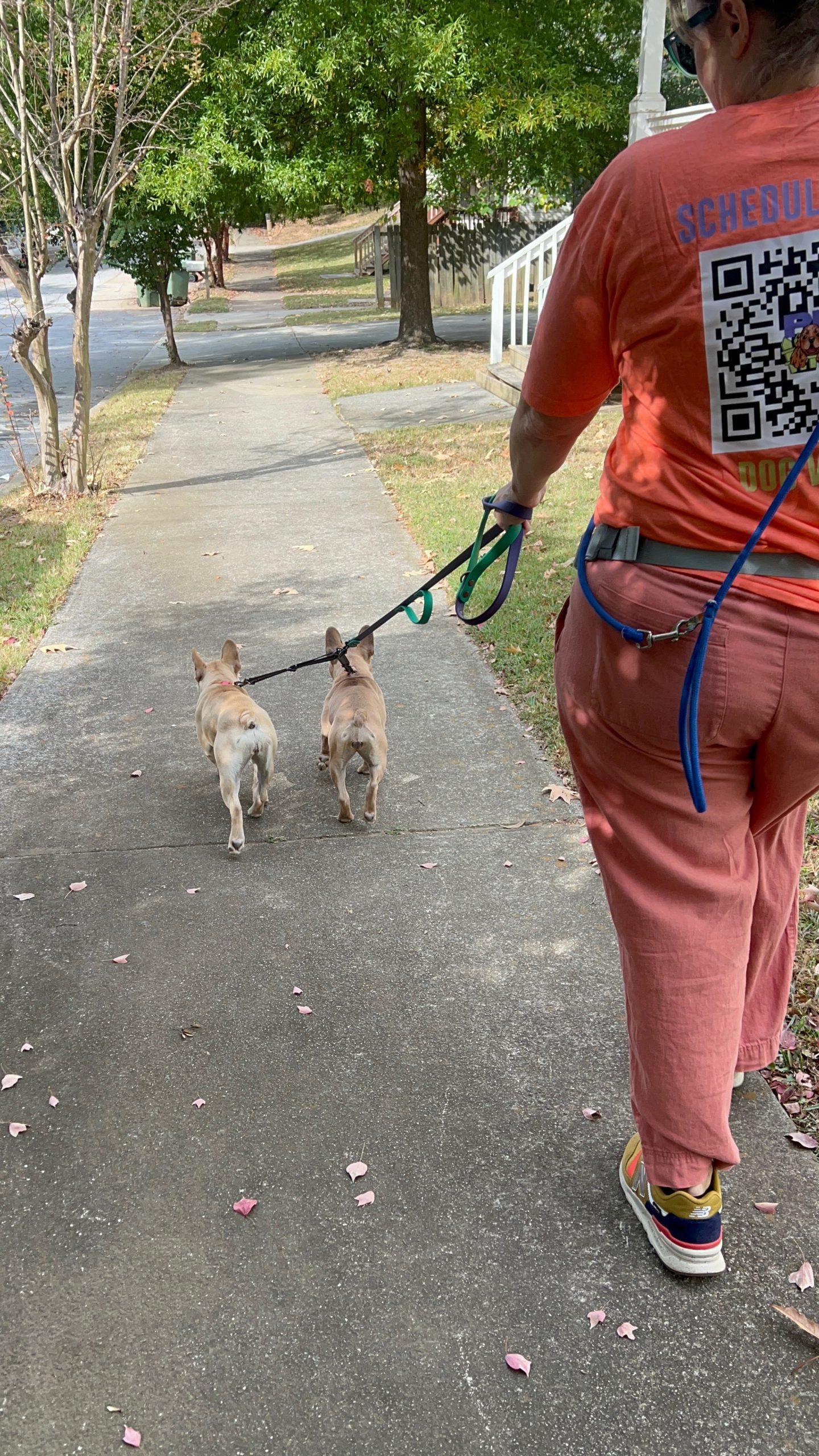 Why Atlanta Dog Parents Trust Us