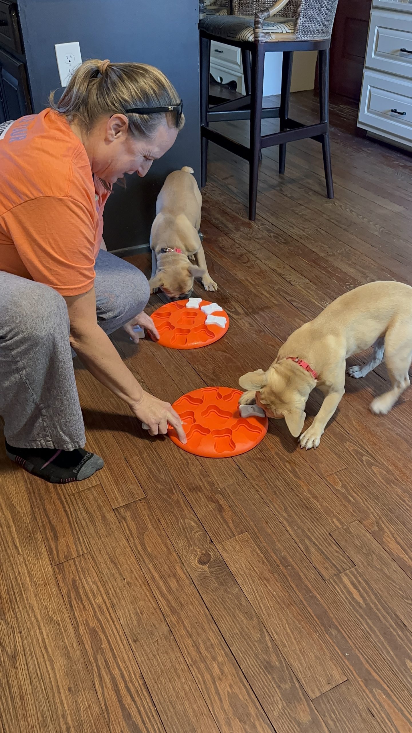 Dog walker giving enrichment and care
