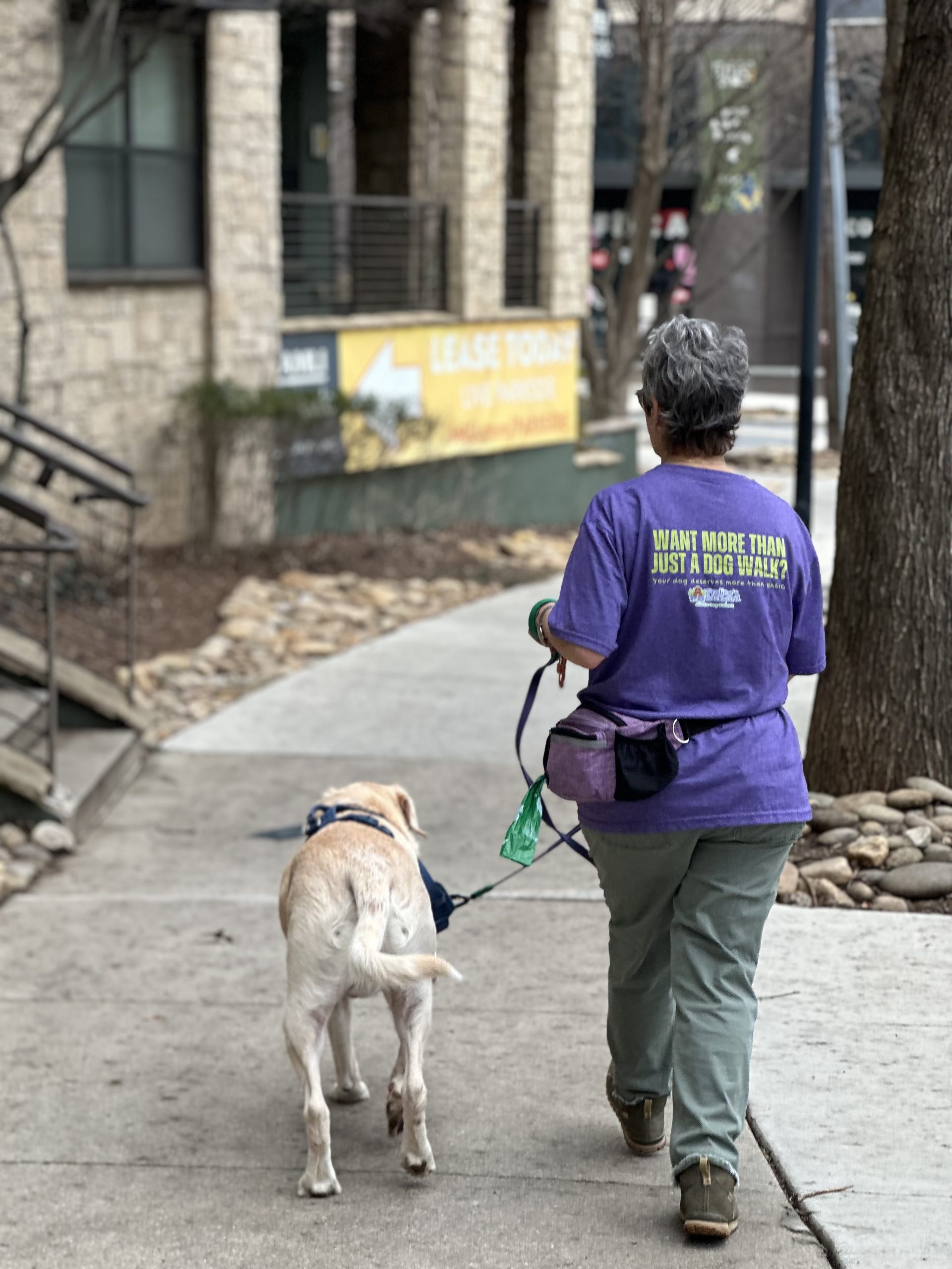 Introducing Concierge Unlimited Dog Walk Plan in  Atlanta