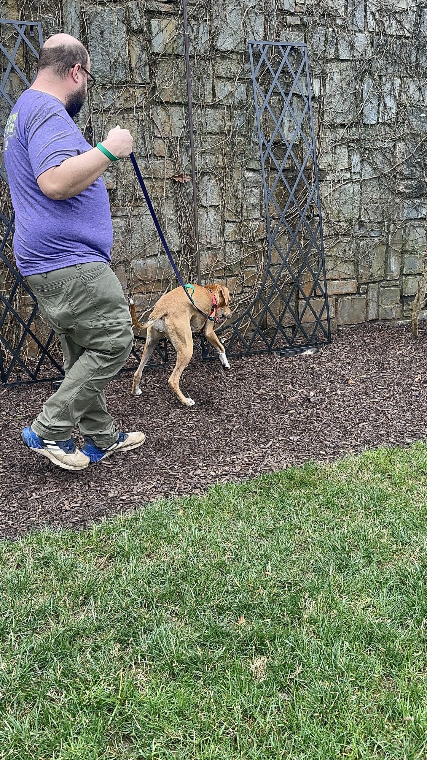 Working From Home in Atlanta Dog Parents?