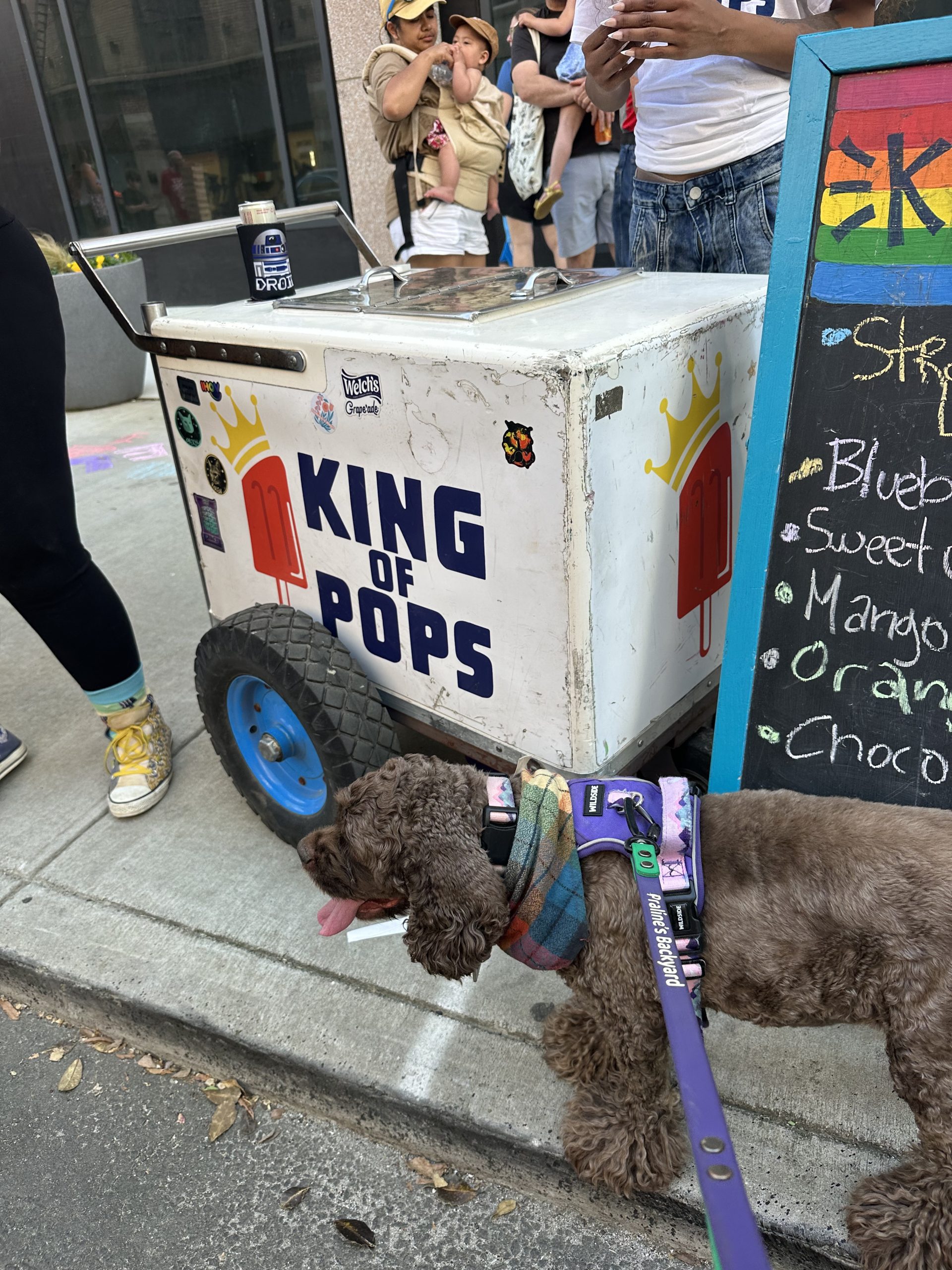 Atlanta Dog Events That Focus on Wellness, Not Chaos