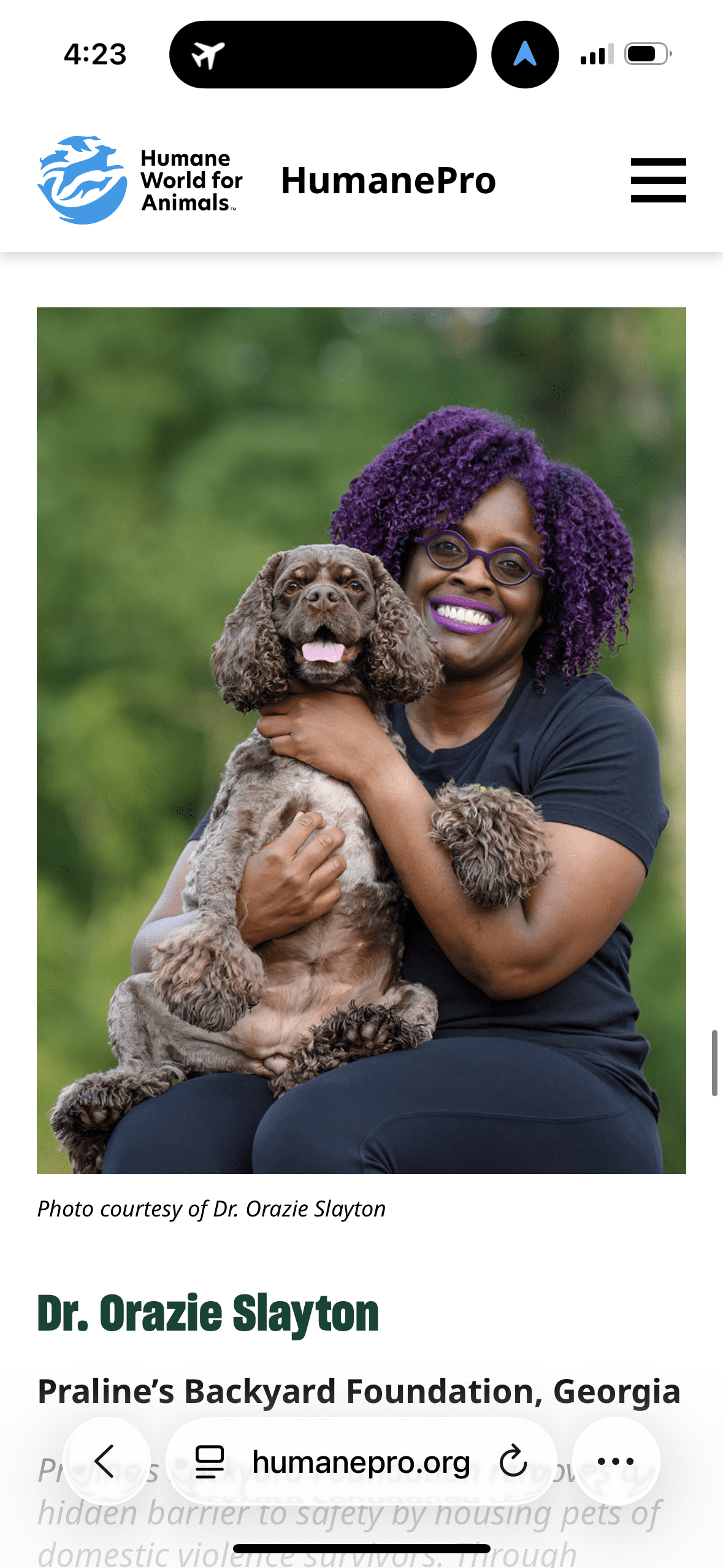 Atlanta Dog Care That Gives Back