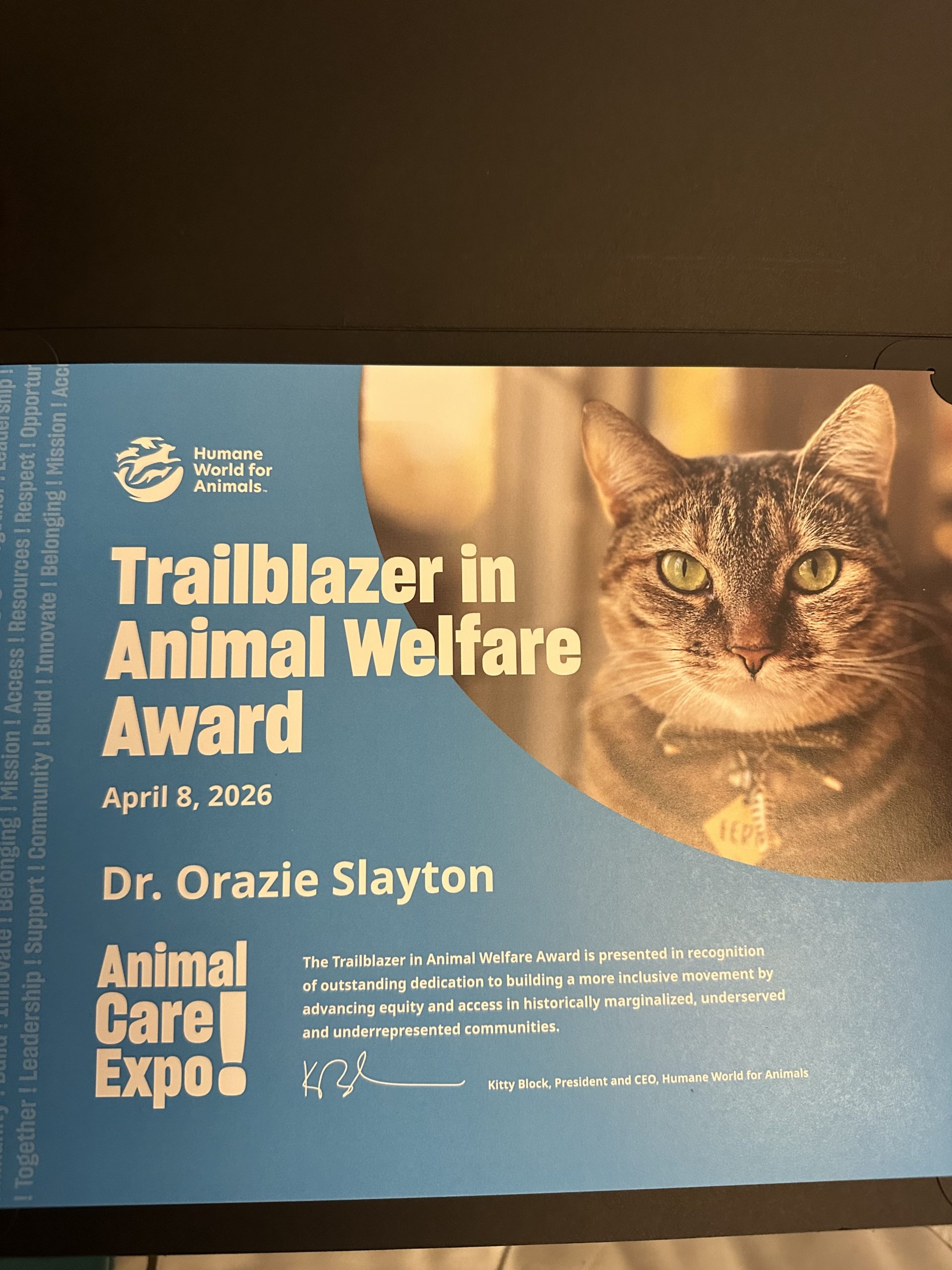 Atlanta Dog Care That Gives Back