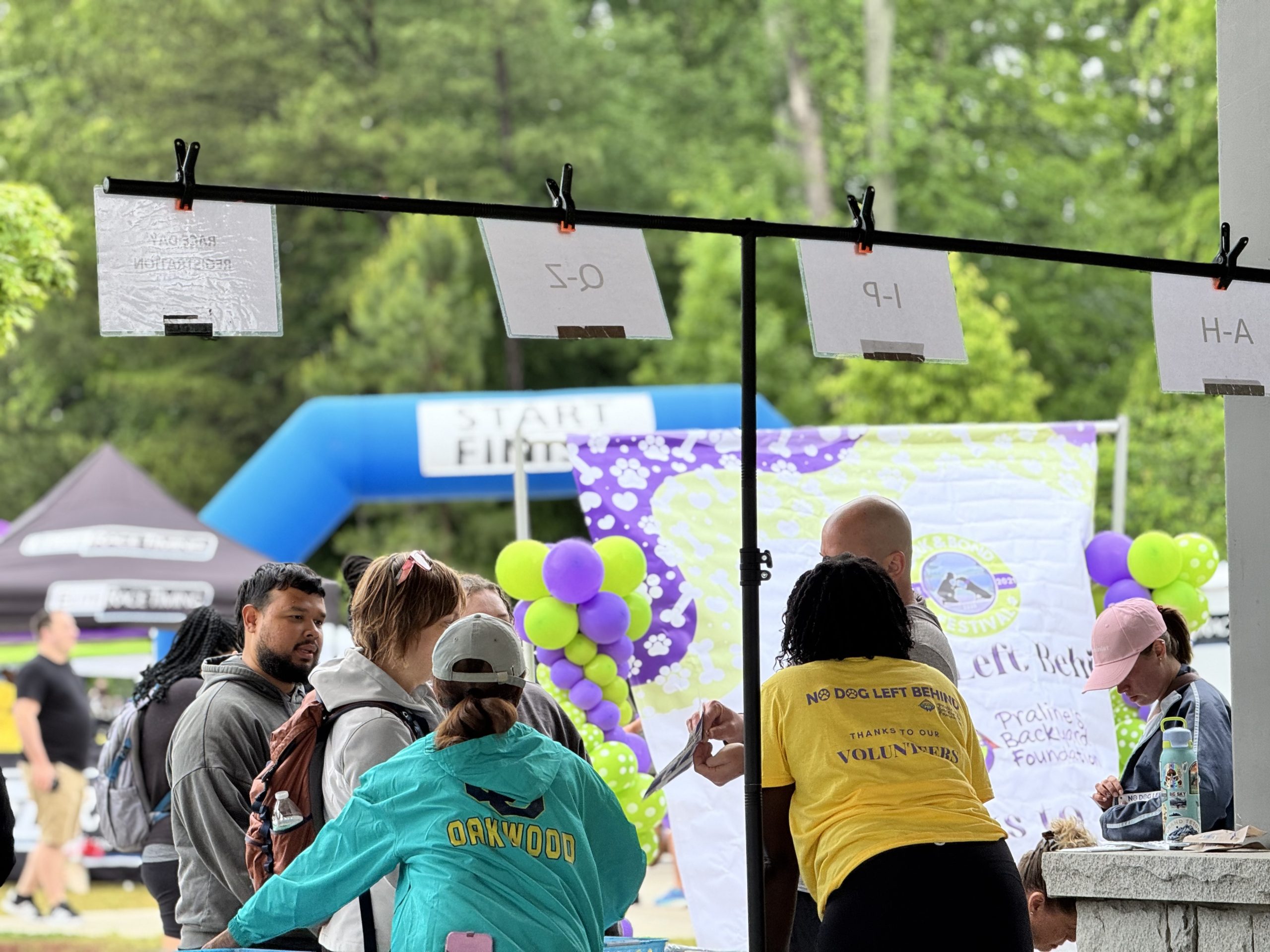 Before You Get a Dog in Atlanta